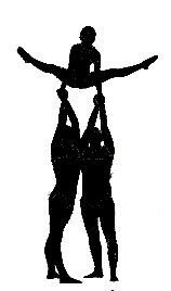 {short description of image}